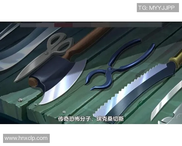 篮球明星FC的传奇之路:从球场到人生的精彩瞬间与成就解析